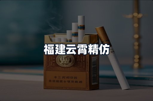 福建云霄精仿